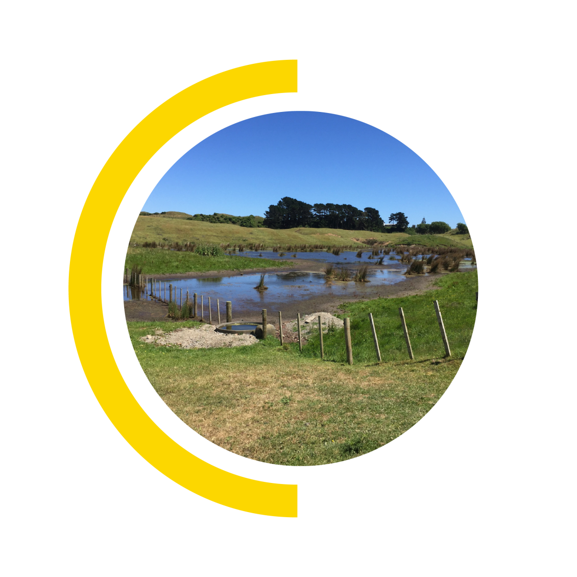 QEP before wetland restoration - a paddock with a pond